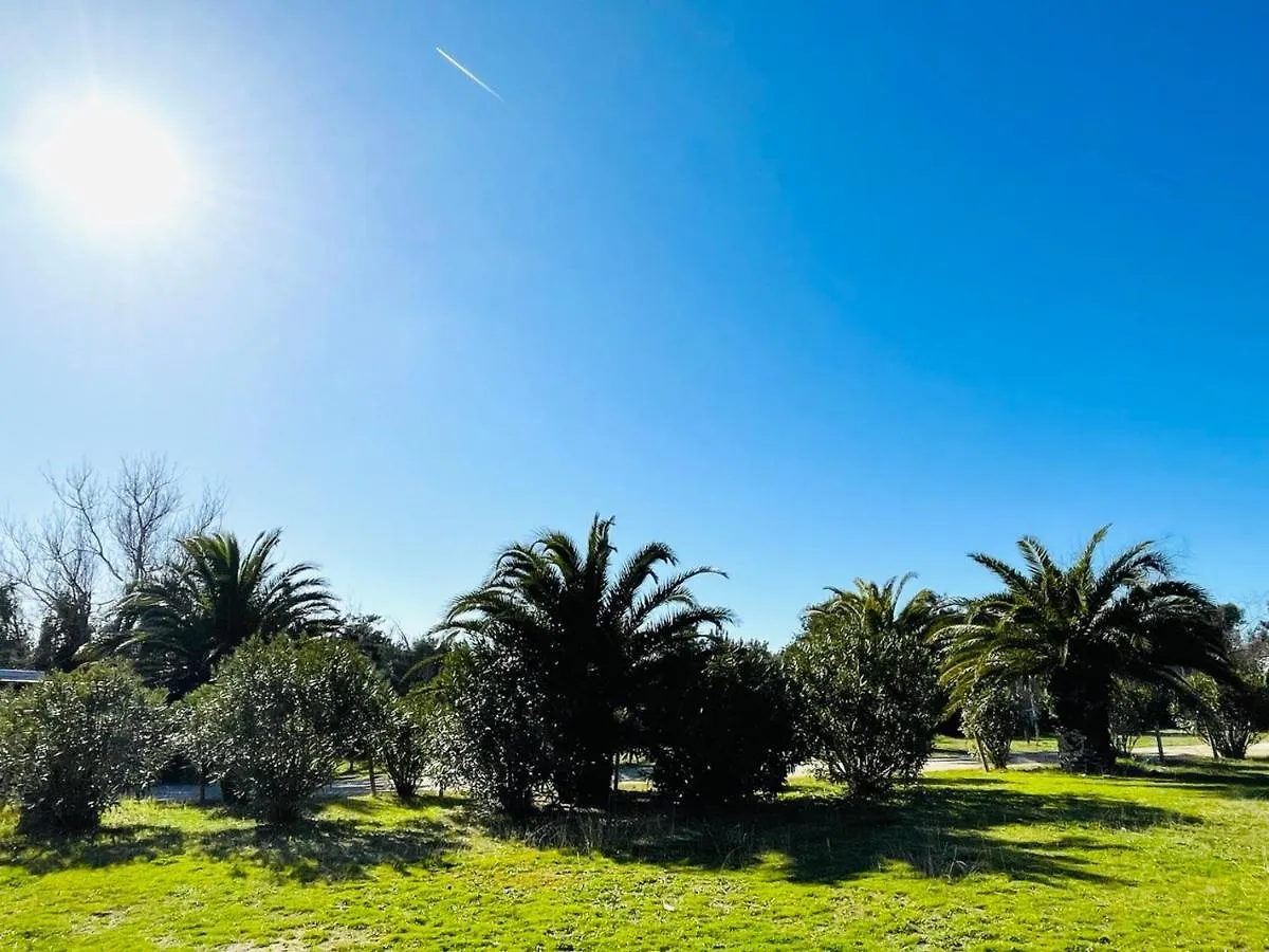 Regina Beach Holiday Apartments Tirrenia Aparthotel
