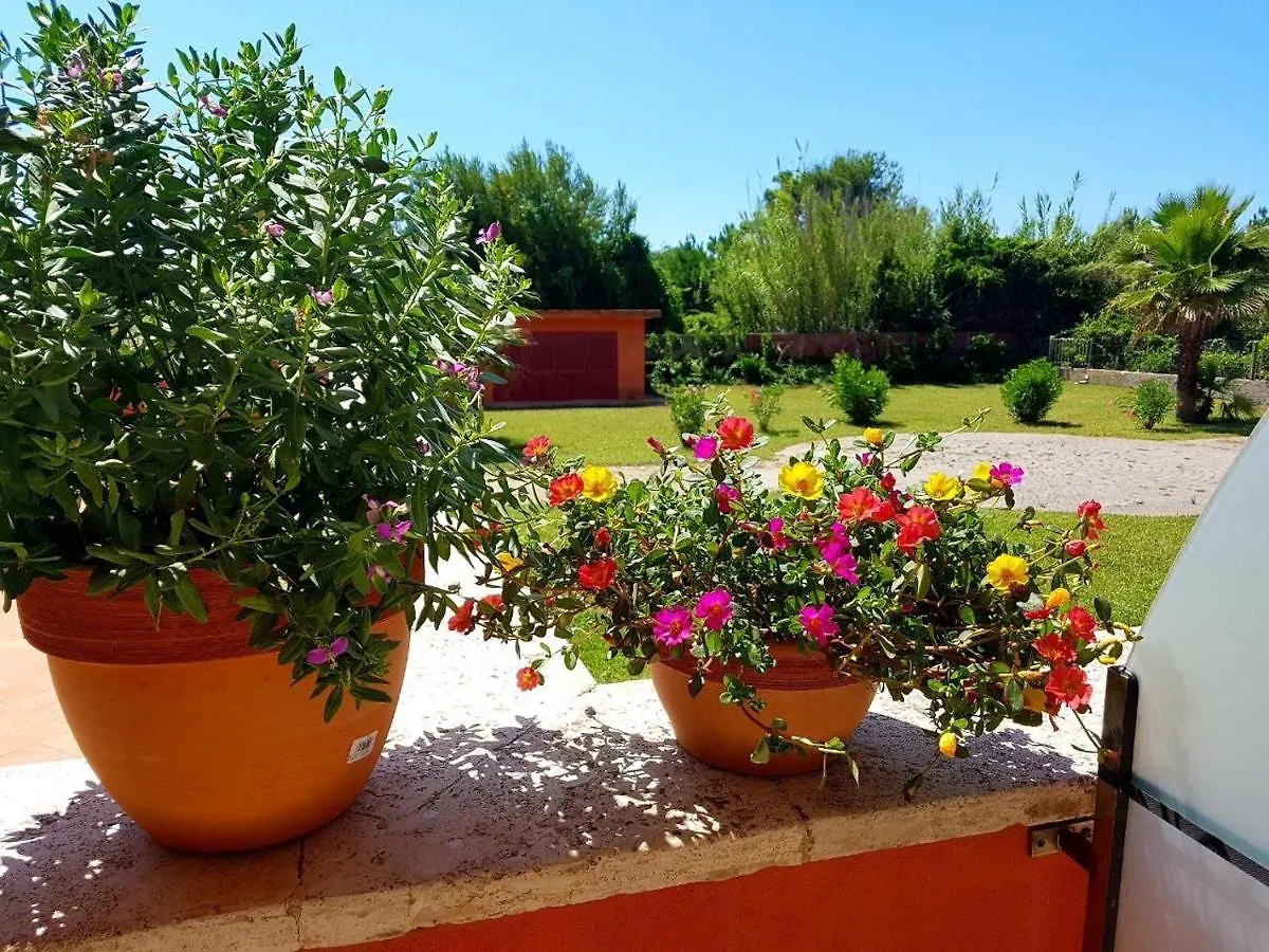 Regina Beach Holiday Apartments Tirrenia
